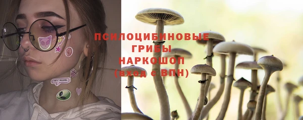 МДПВ Нягань