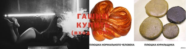 скорость Новозыбков