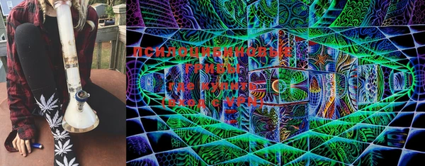 экстази Няндома