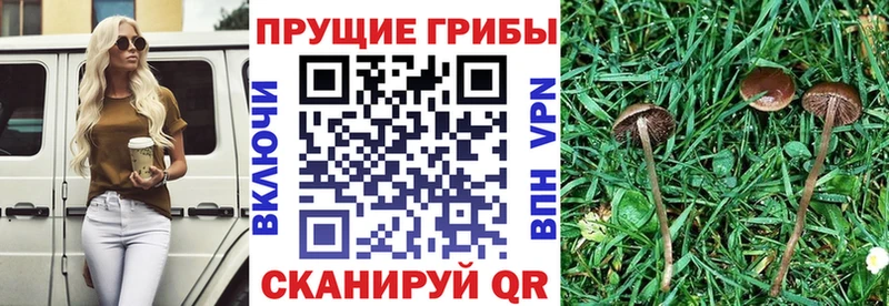 Псилоцибиновые грибы MAGIC MUSHROOMS  Кузнецк 