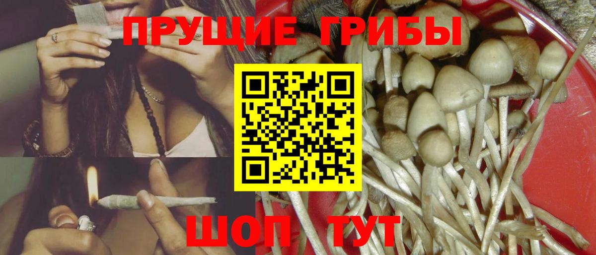 Галлюциногенные грибы GOLDEN TEACHER  как найти закладки  Кузнецк  Вход с VPN 