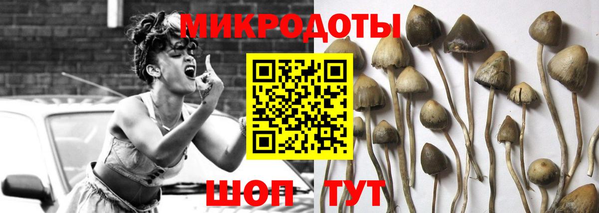 Псилоцибиновые грибы мицелий Кузнецк