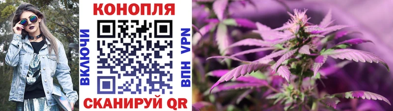 Канабис White Widow  хочу наркоту  мега как зайти  Кузнецк 